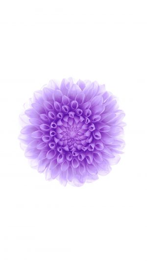 Official Apple Ios 08 Android wallpaper
