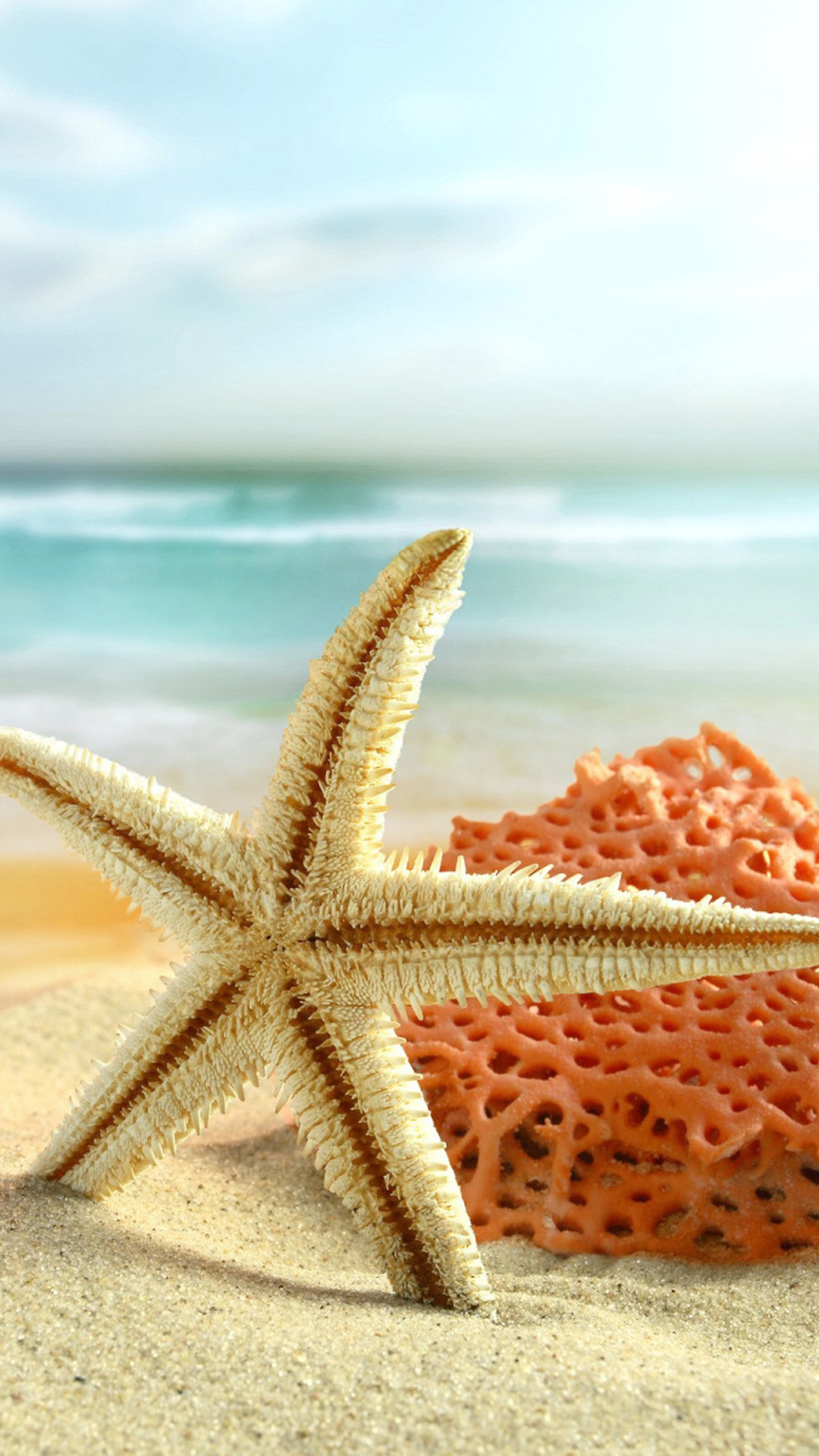 Starfish beach toys Android wallpaper