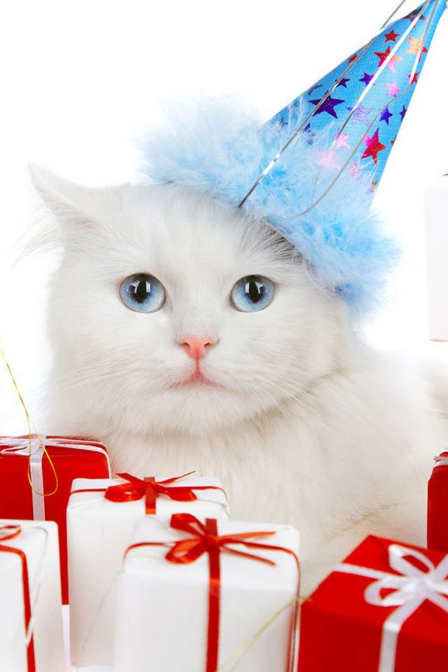 Cat Christmas Android wallpaper