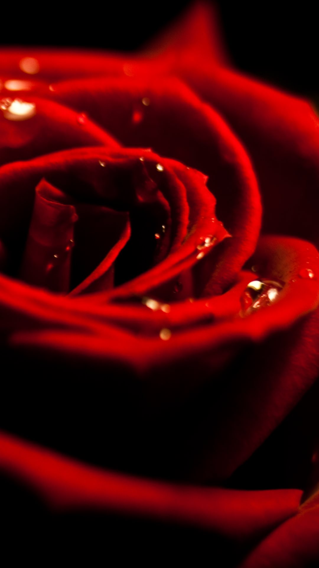 3d Wallpaper Rose For Android Image Num 4