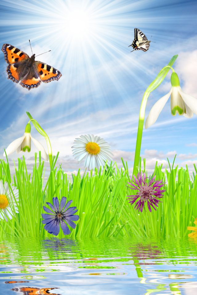 Beautiful Spring Mood Android wallpaper