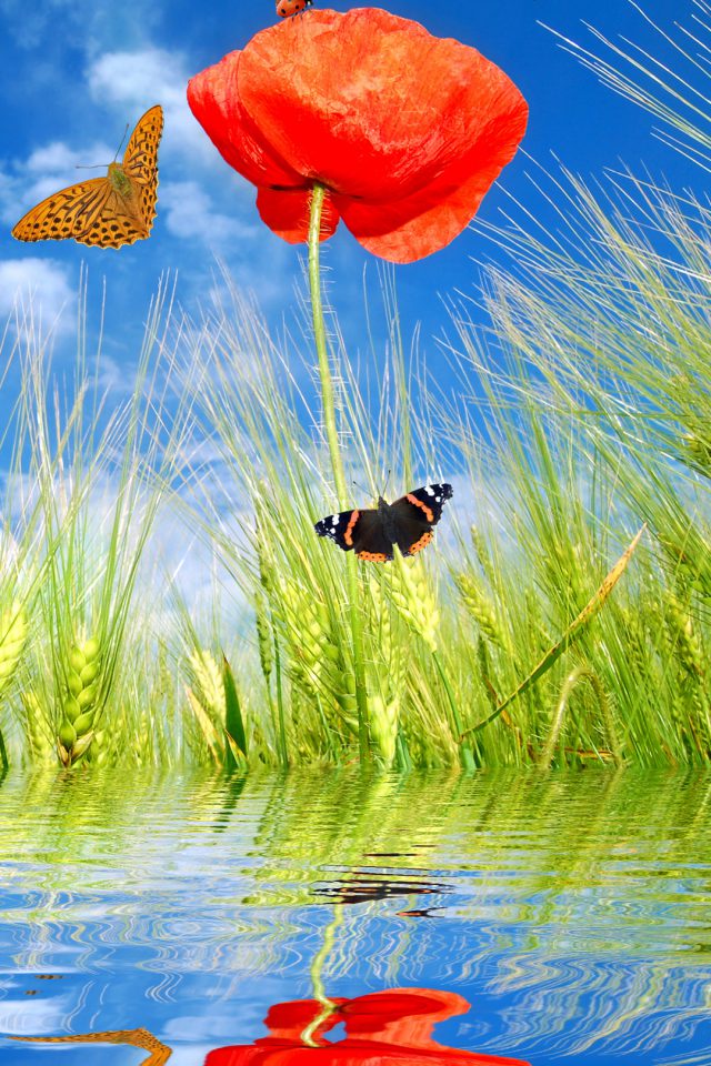 Spring Flowers And Butterflies Android wallpaper