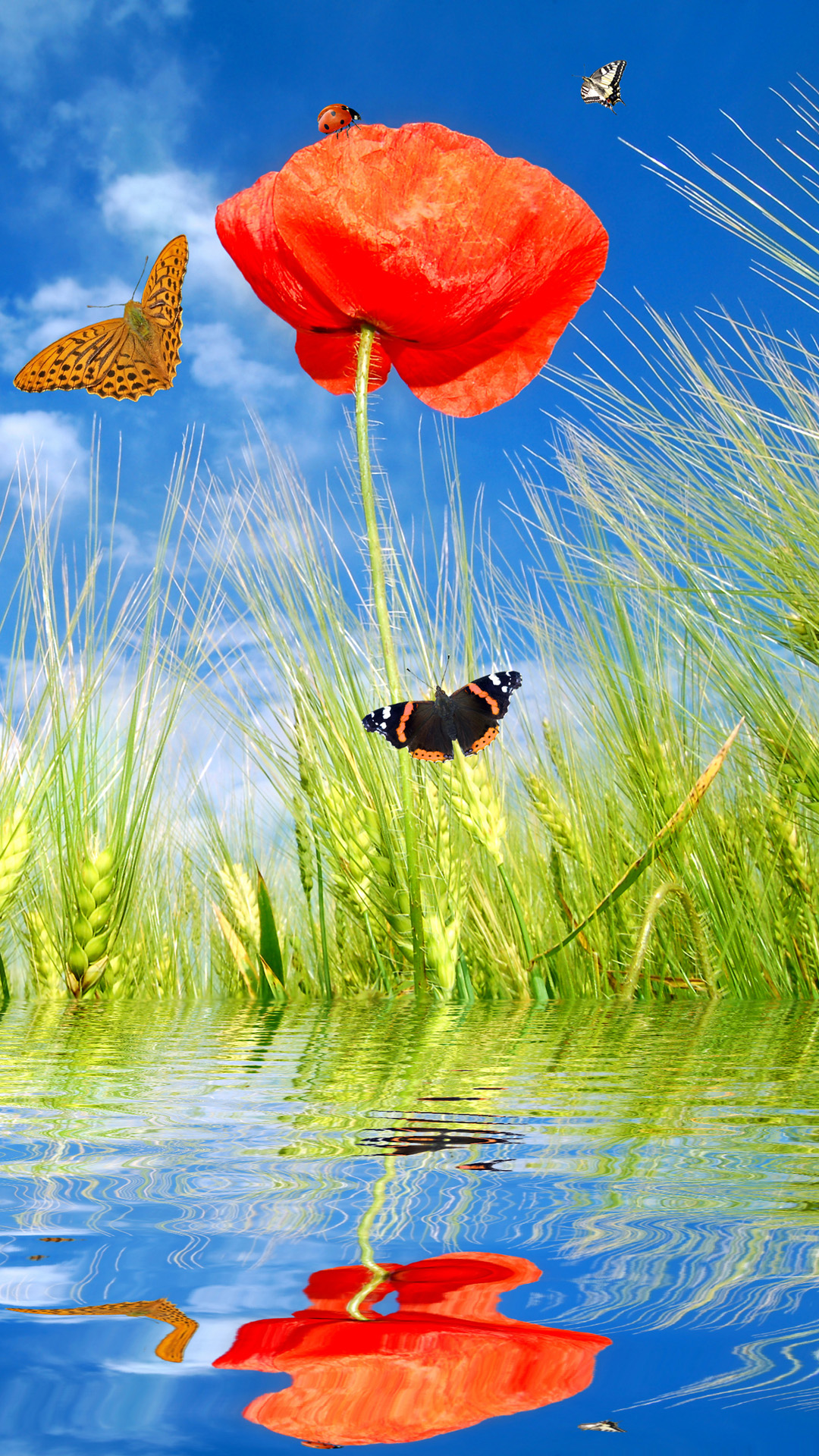 Spring Flowers And Butterflies Android wallpaper