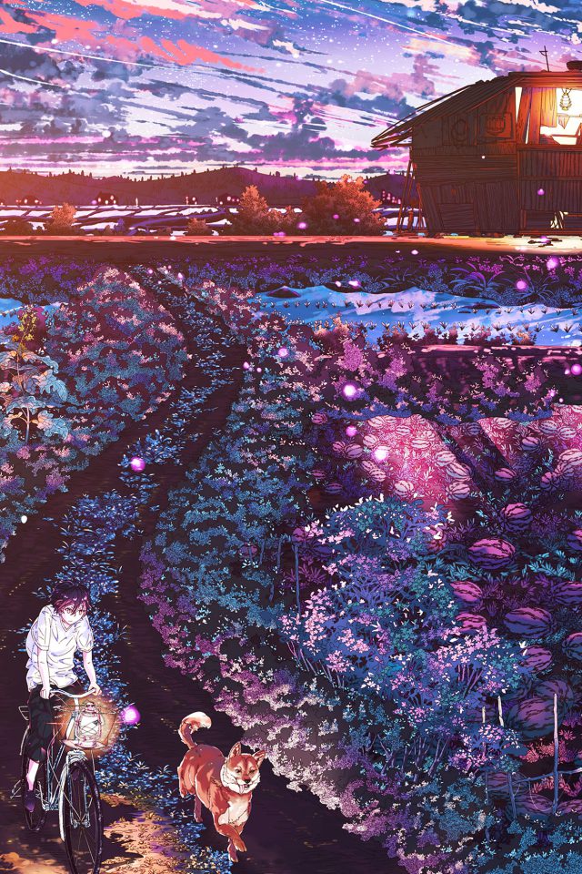 Anime Night Art Sunset Lovely Illustration Flare Android wallpaper