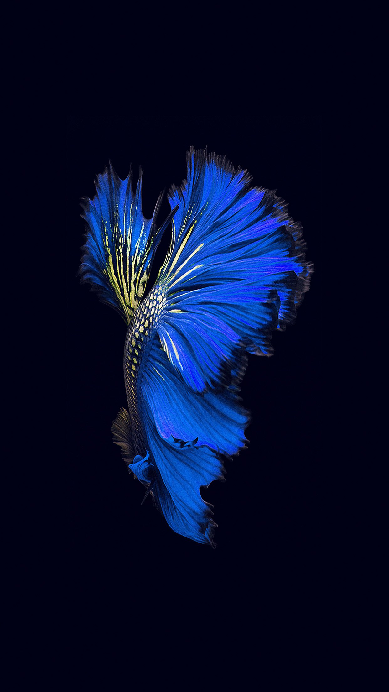 Apple IOS9 Fish Live Background Dark Blue Android wallpaper