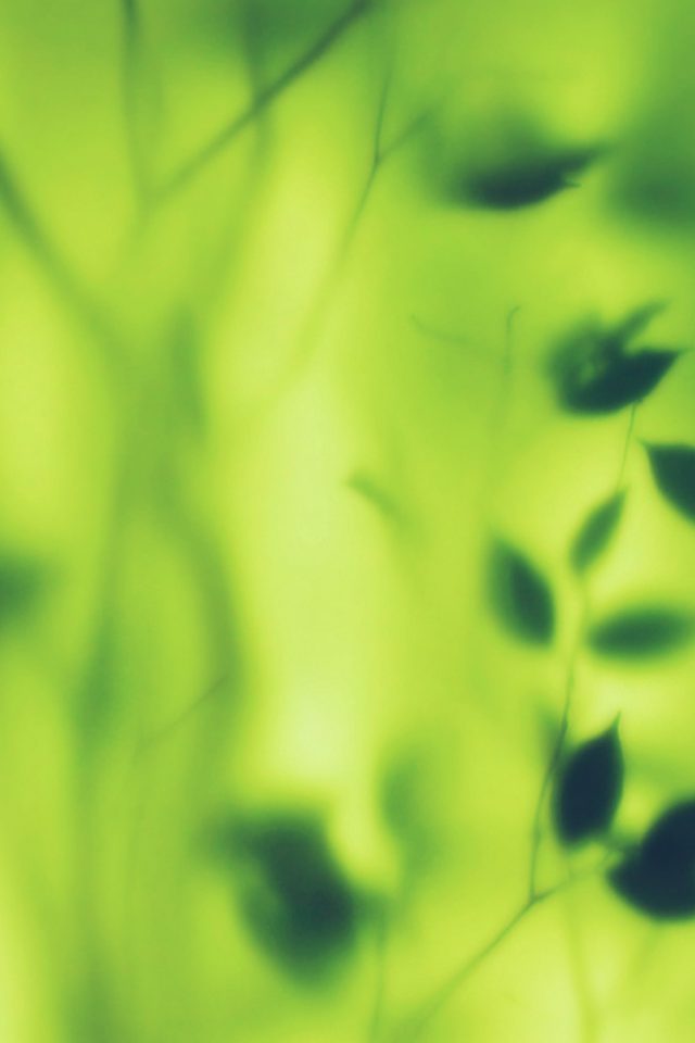 Bokeh Window Leaf Green Pattern Android wallpaper