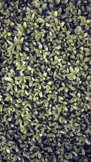 Nature Blue Leaf Grass Garden Flower Pattern Android wallpaper