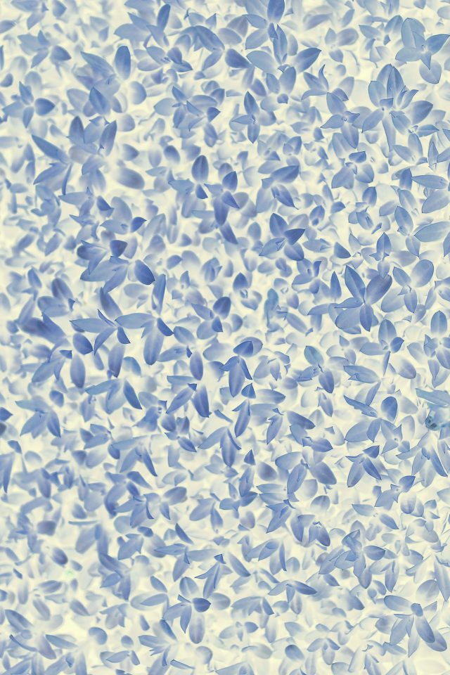 Nature Blue White Leaf Grass Garden Flower Pattern Android wallpaper