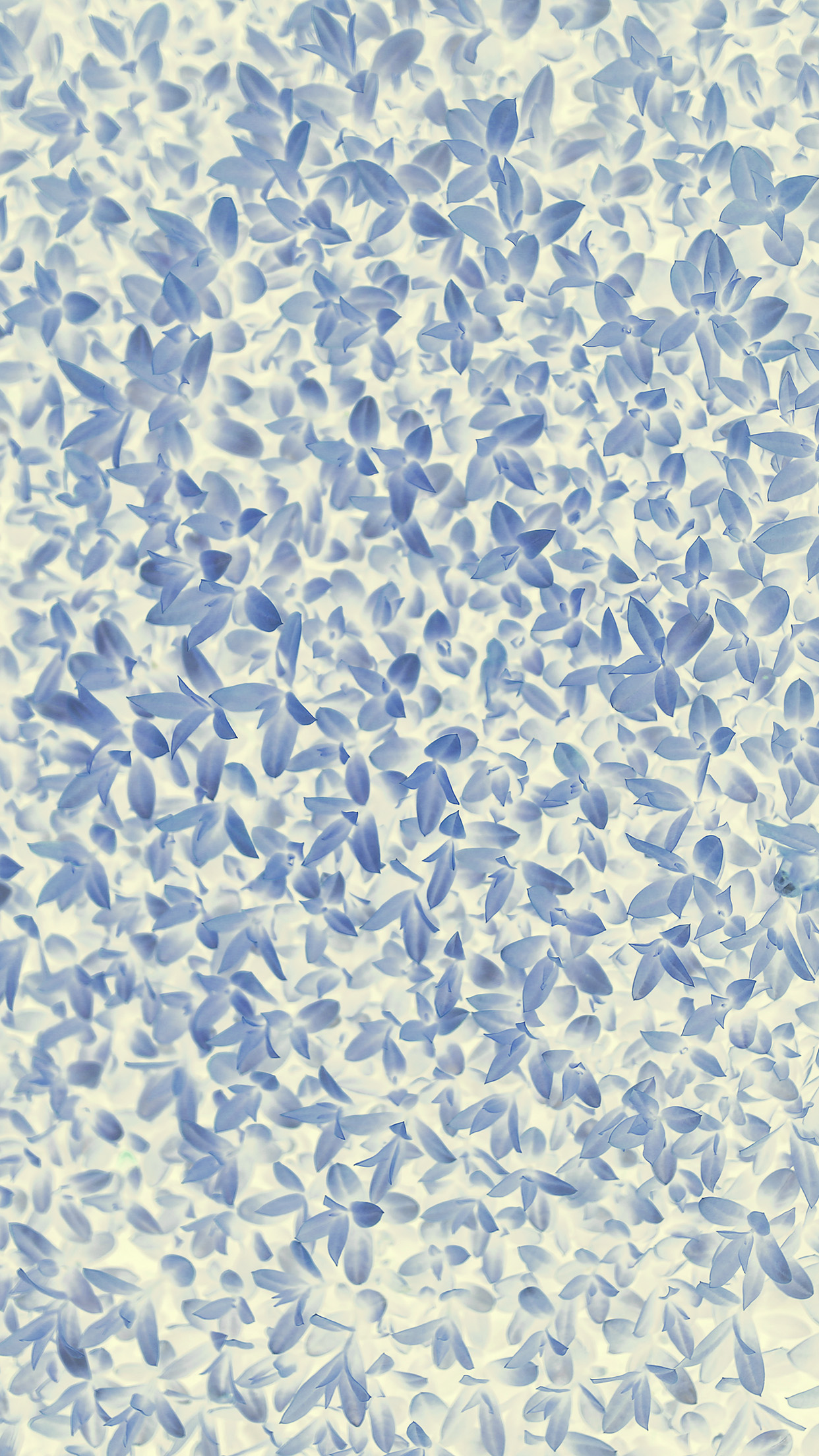 Nature Blue White Leaf Grass Garden Flower Pattern Android wallpaper