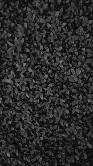 Nature Dark Bw Leaf Grass Garden Flower Pattern Android wallpaper