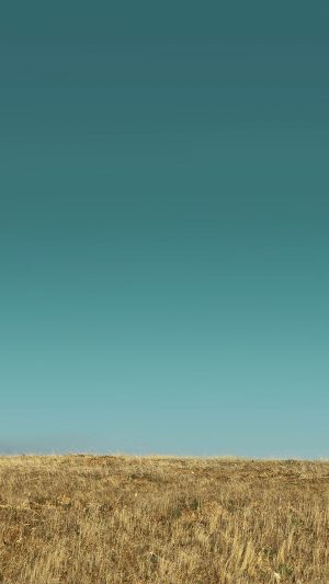 Nature Field Green Sky Android wallpaper