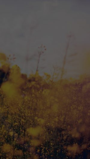 Nature Green Flower Bokeh Spring Dark Happy Flare Android wallpaper