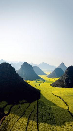 Nature Mountain High Green Field Android wallpaper