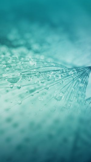 Nature Rain Drop Flower Blue Light Pattern Android wallpaper