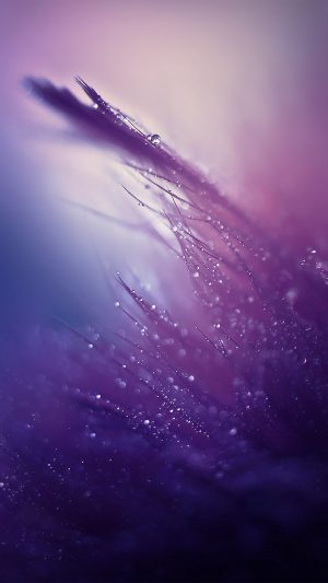 Nature Rain Drop Leaf Pruple Soft Pattern Android wallpaper