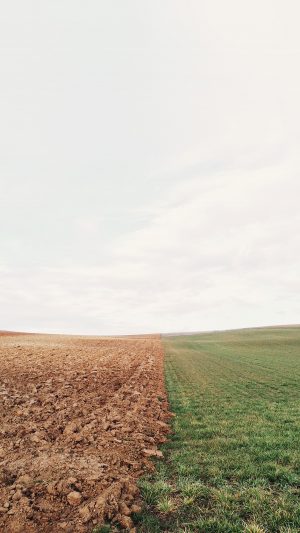 Barren Land Green Field Nature Android wallpaper