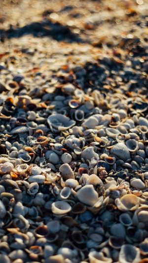 Beach Sand Rock Nature Pattern Android wallpaper
