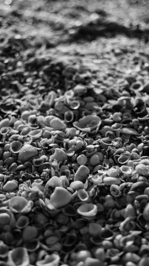 Beach Sand Rock Nature Pattern Bw Dark Android wallpaper