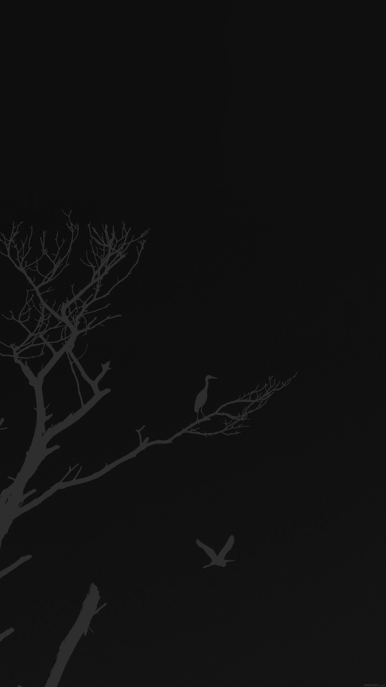 Bird Sunset Tree Dark Nature Minimal Android wallpaper