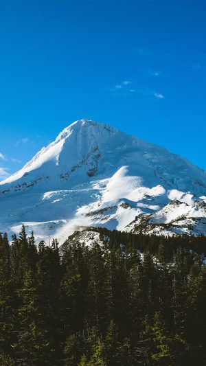 Blue Sky Mountain Cool Snow Wood Forest Nature Winter Android wallpaper
