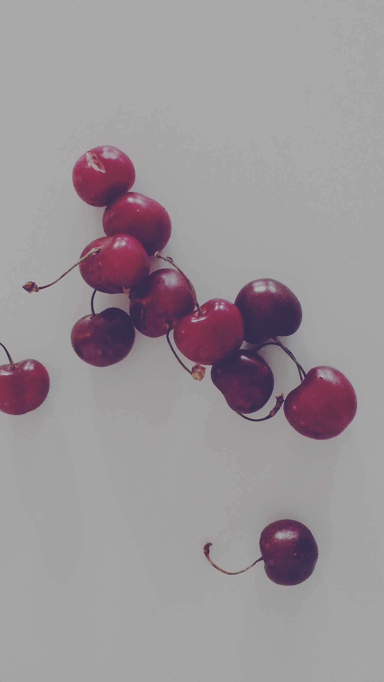 Cherry Red Dark Paula Borowska Fruit Nature Android wallpaper