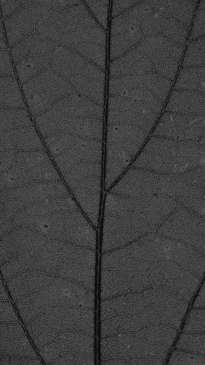 Dark Leaf Texture Nature Pattern Android wallpaper