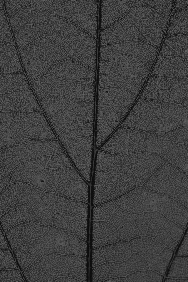 Dark Leaf Texture Nature Pattern Android wallpaper
