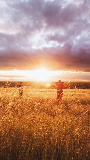 Dawn Sunset People Field Grass Nature Yellow Android wallpaper