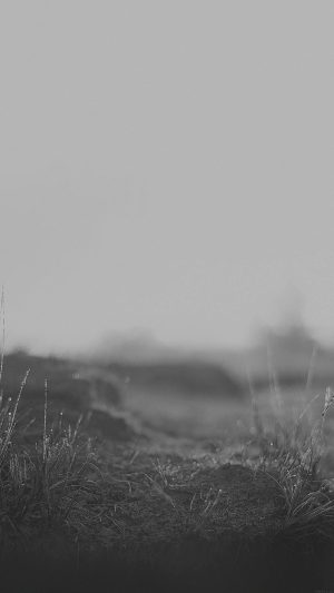 Depth Of Field Black Leaf Grass Nature Android wallpaper