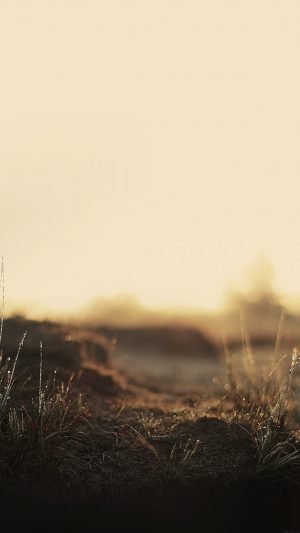 Depth Of Field Leaf Grass Nature Android wallpaper