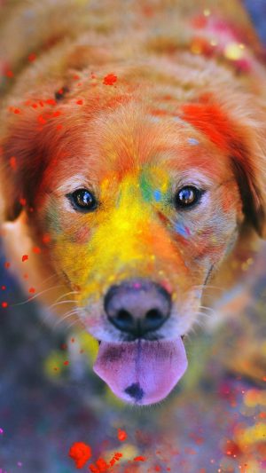 Dog Smile Fall Leaves Art Nature Android wallpaper