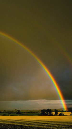Double Rainbow Nature Android wallpaper