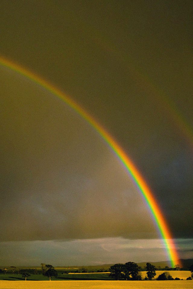Double Rainbow Nature Android wallpaper