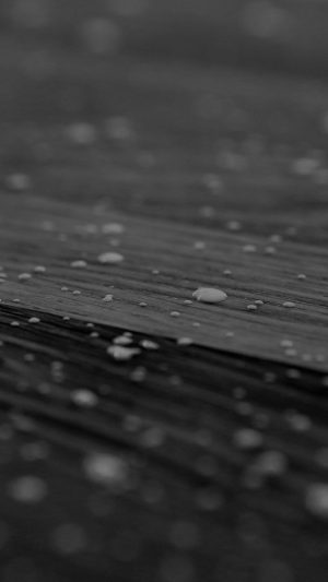 Drops Of Milk On Floor Pattern Nature Dark Bw Android wallpaper