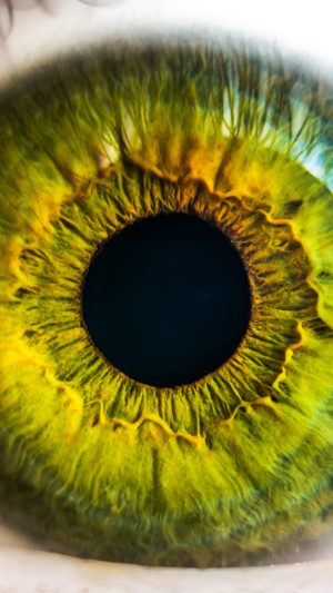 Eye Human Nature Pupil Body Science Android wallpaper