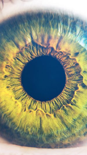 Eye Human Nature Pupil Body Science Flare Blue Android wallpaper