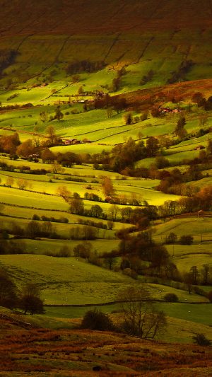 Fall Field Mountain Nature Tree Android wallpaper