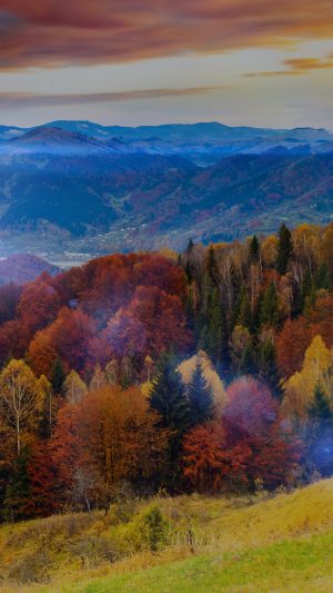 Fall Mountain Fun Red Orange Tree Flare Nature Android wallpaper