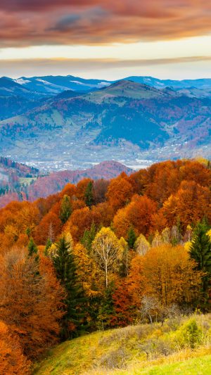 Fall Mountain Fun Red Orange Tree Nature Android wallpaper