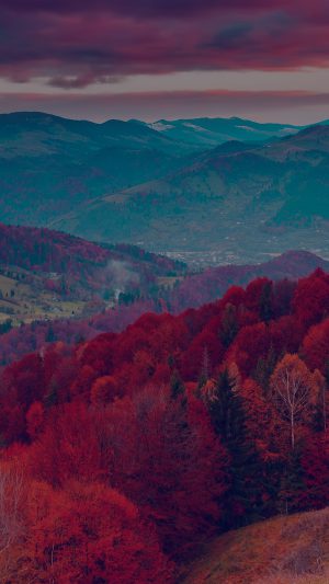Fall Mountain Fun Red Tree Nature Dark Beautiful Android wallpaper