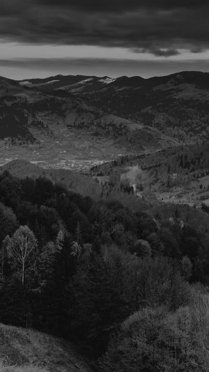 Fall Mountain Fun Red Tree Nature Dark Beautiful Bw Android wallpaper