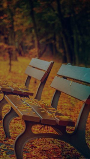 Fall Road Mountain Autumn Leave Nature Dark Android wallpaper