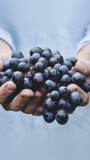 Farmer Food Grapes Fruit Nature Bokeh Android wallpaper