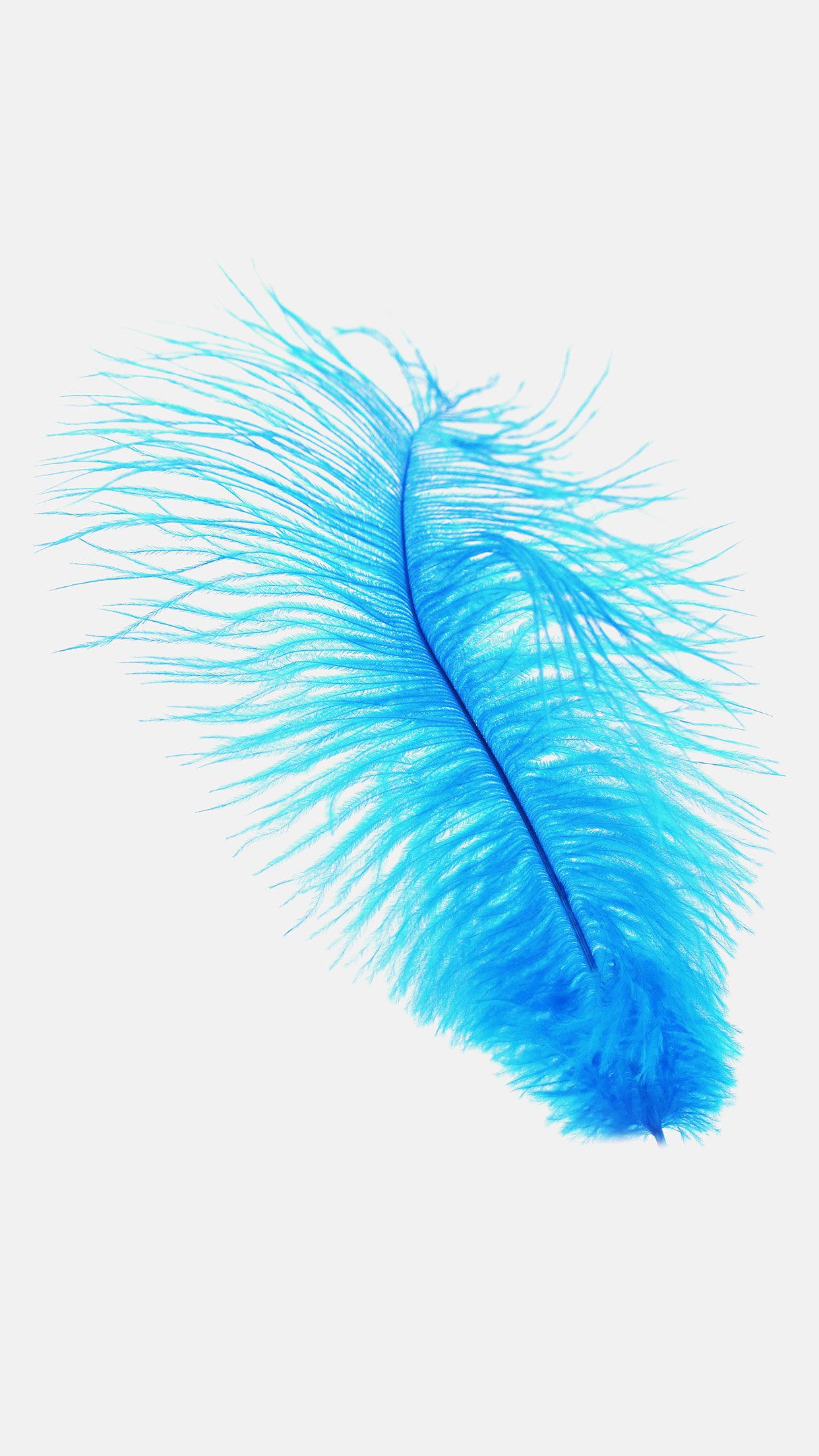 Feather Blue White Nature Minimal Android wallpaper