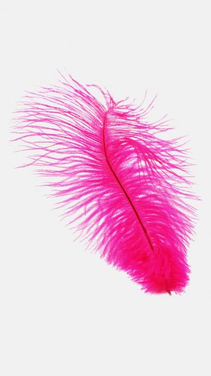 Feather Pink White Nature Minimal Android wallpaper