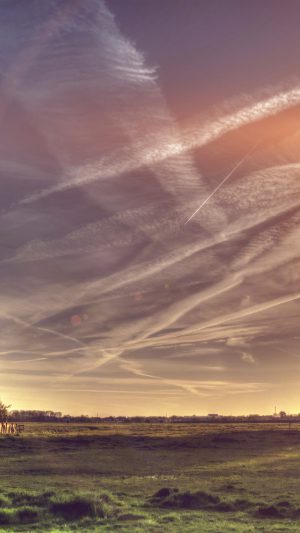 Field Green Sky Cloud Nature Tree Flare Android wallpaper
