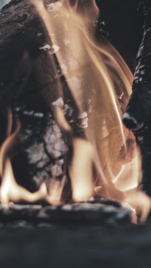 Fire Camp Light Thomas Lefebvre Nature Android wallpaper
