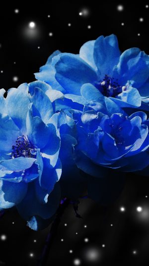 Flower Blue Snow Nature Art Android wallpaper