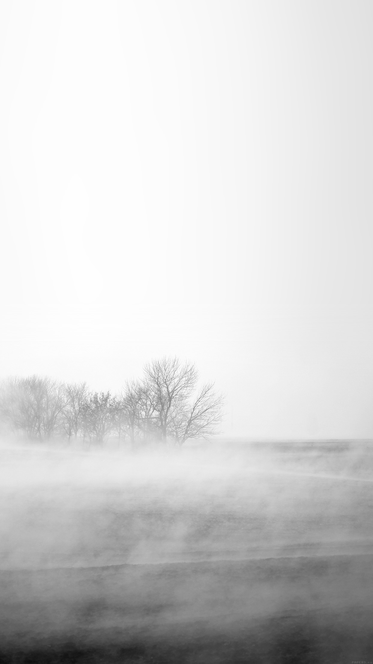 Fog White Field Nature Android wallpaper