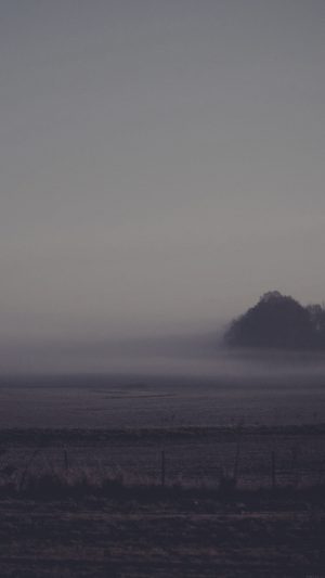 Foggy Land Dark Nature Sonja Langford Photo Android wallpaper